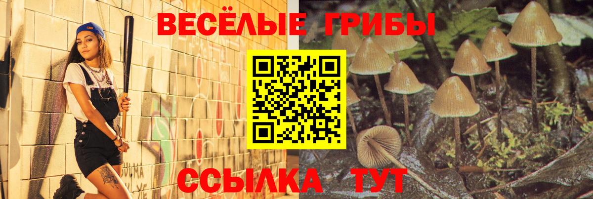 магазин продажи   Вход с VPN  Псилоцибиновые грибы GOLDEN TEACHER  Борзя  Галлюциногенные грибы Psilocybine cubensis 